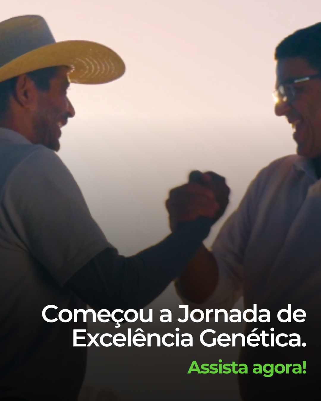 Começou a Jornada de Excelência Genética.