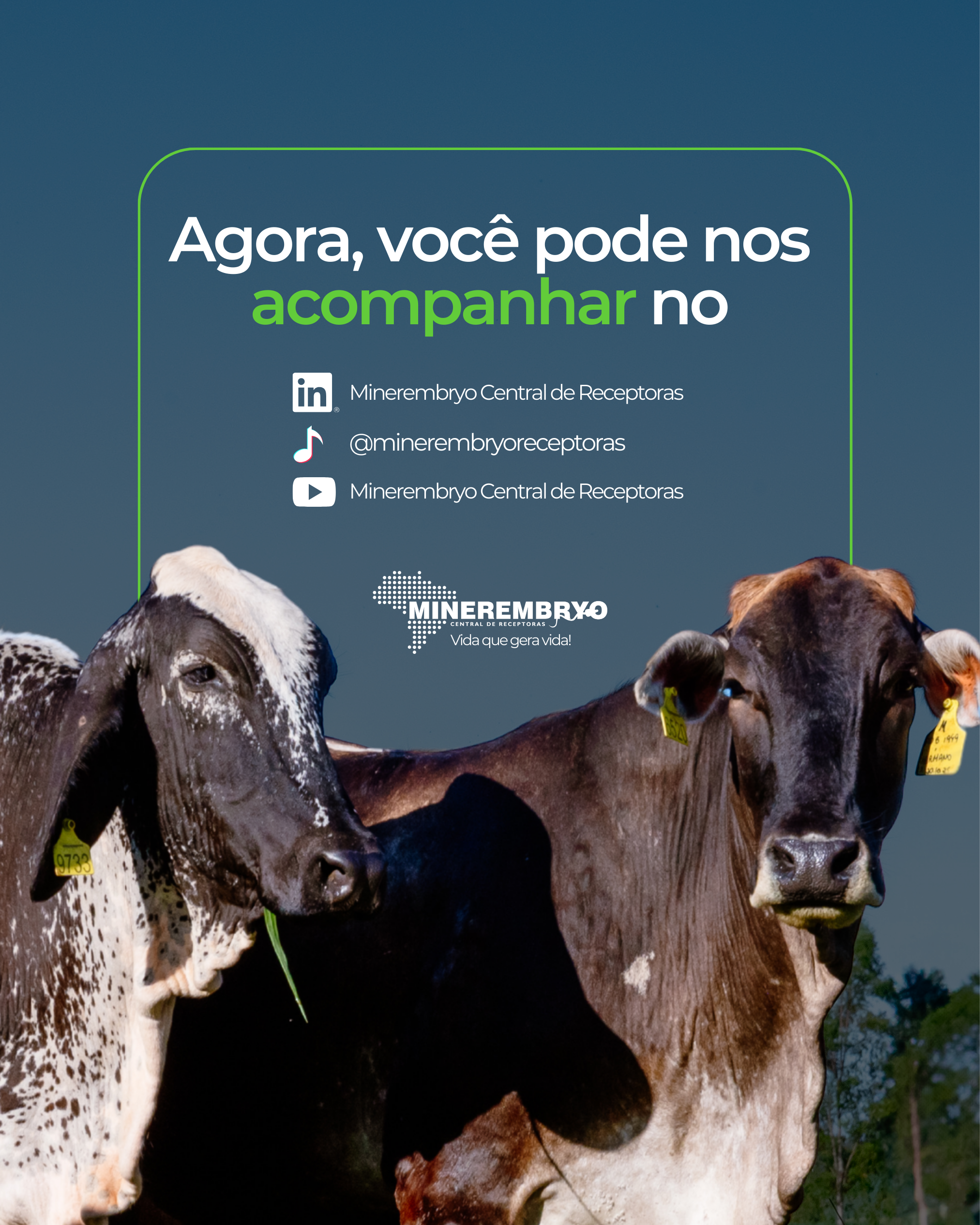 Acompanhe nossas redes sociais