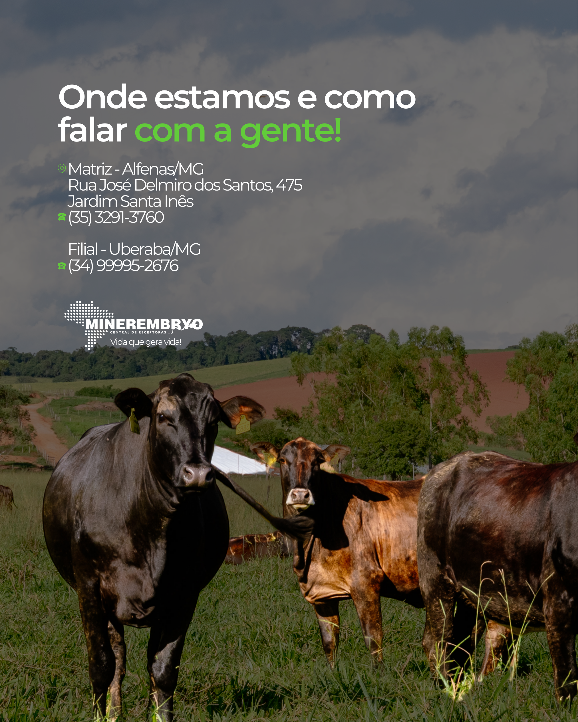 Onde estamos e como falar com a gente!