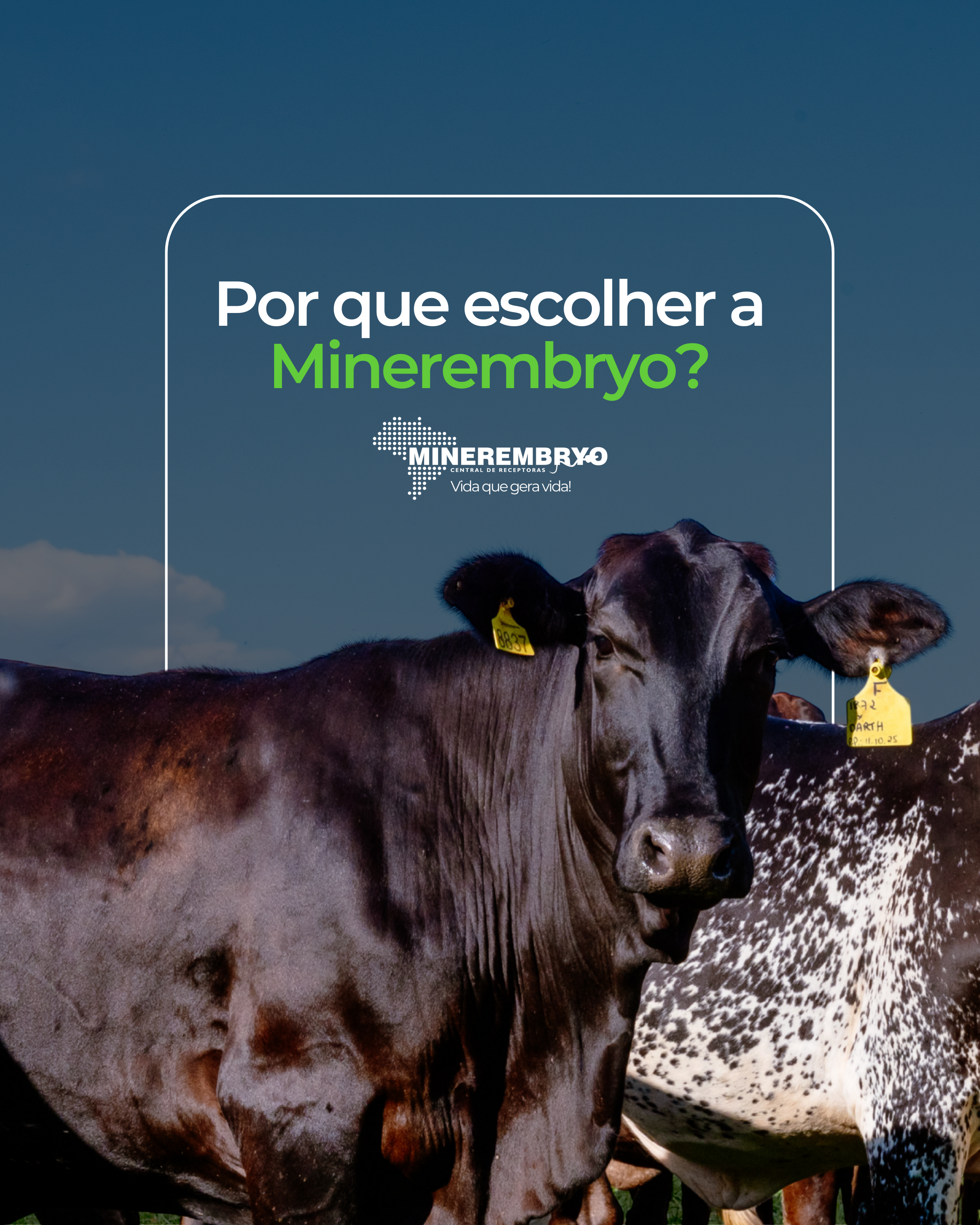 Por que escolher a Minerembryo?